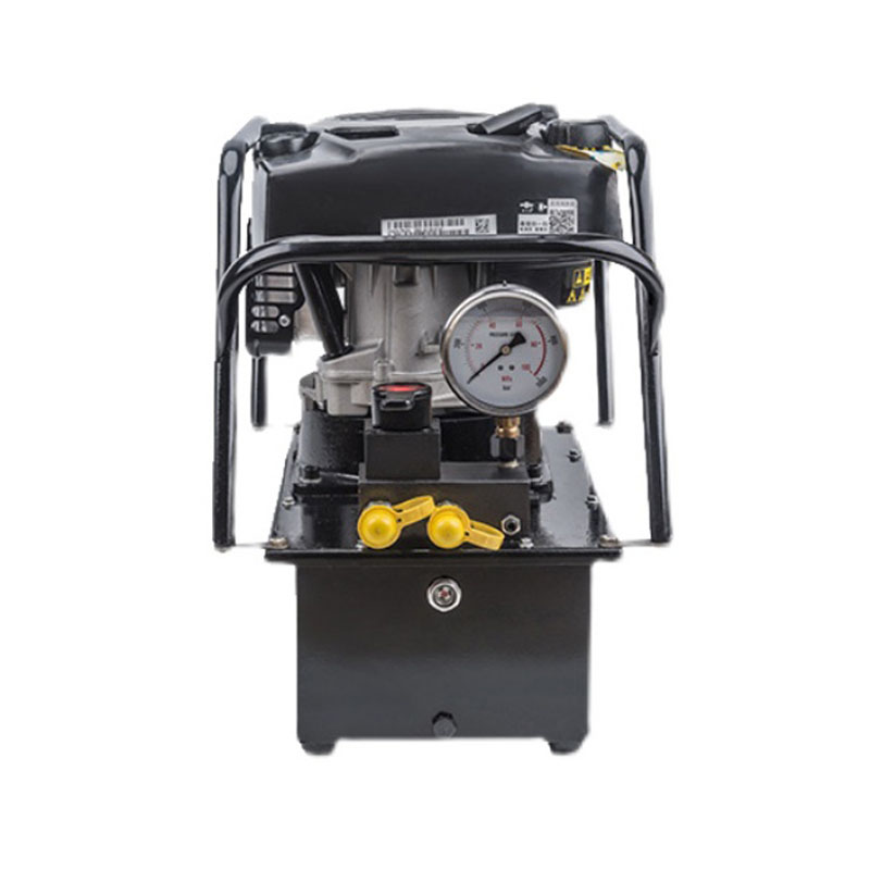 Turbine Vane Gasoline Pump